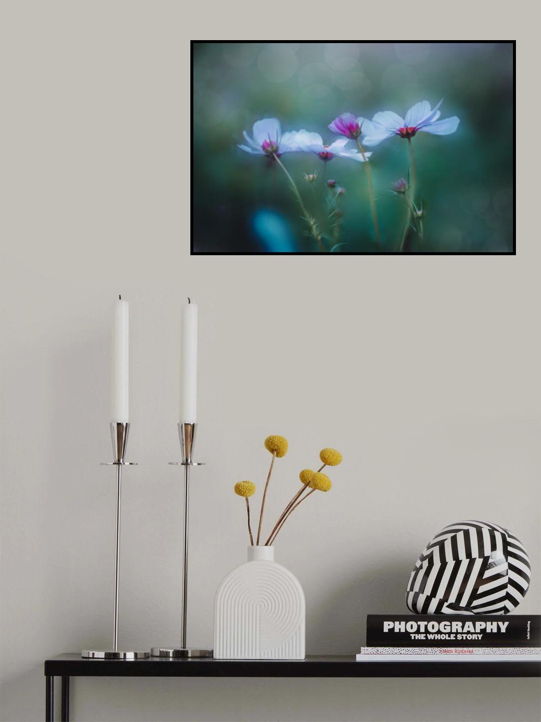 autumn and cosmos Poster och Canvastavla