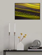 Stripes Poster och Canvastavla