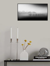 Eight trees in the mist Poster och Canvastavla