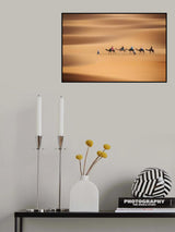 Desert caravan Poster och Canvastavla