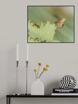 Sharing Poster och Canvastavla