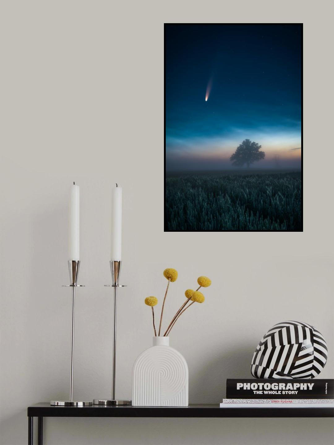 Falling summer star Poster och Canvastavla