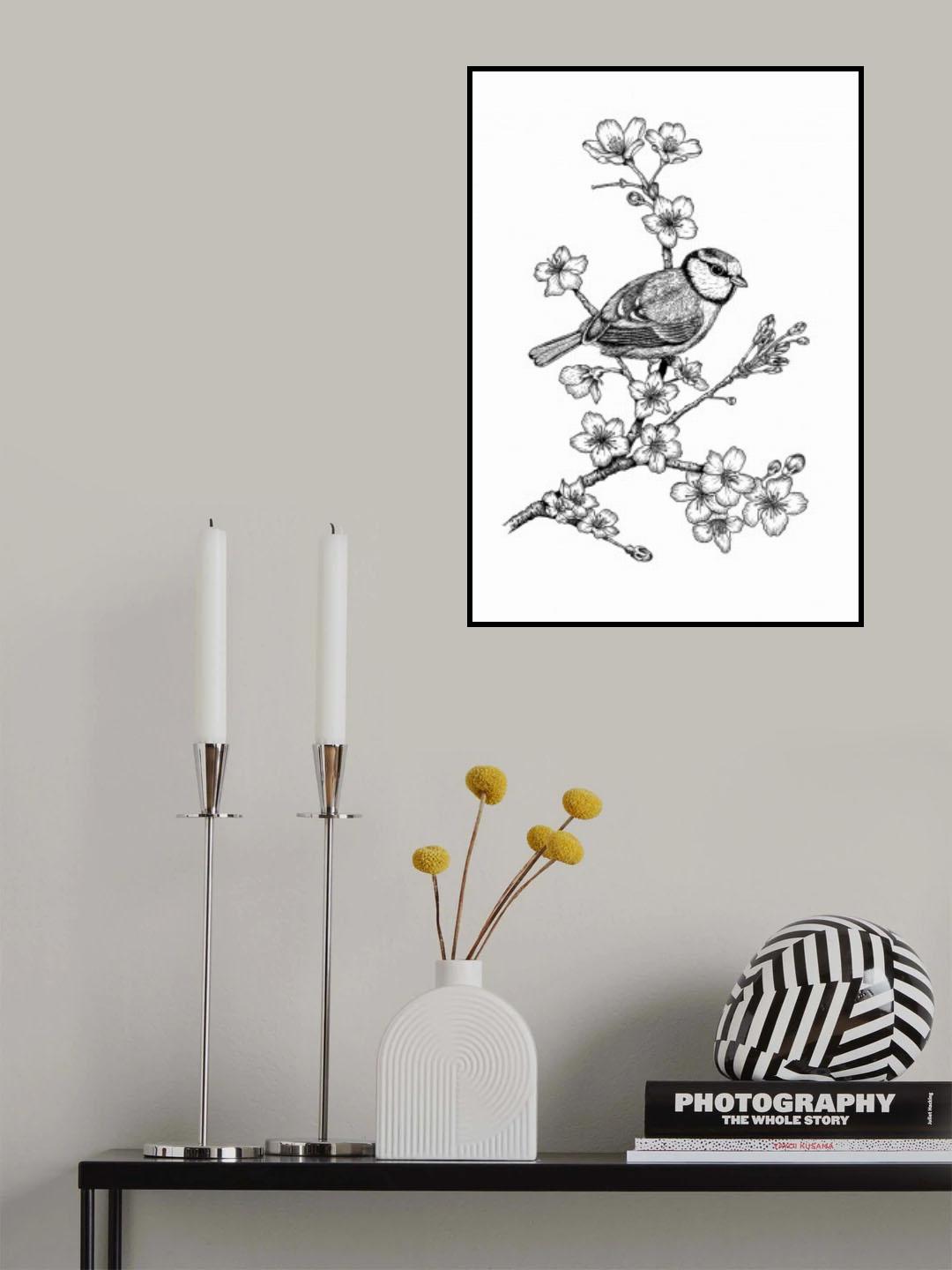 Parus on a Cherry Branch Poster och Canvastavla