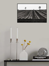 Tour of Flanders Poster och Canvastavla