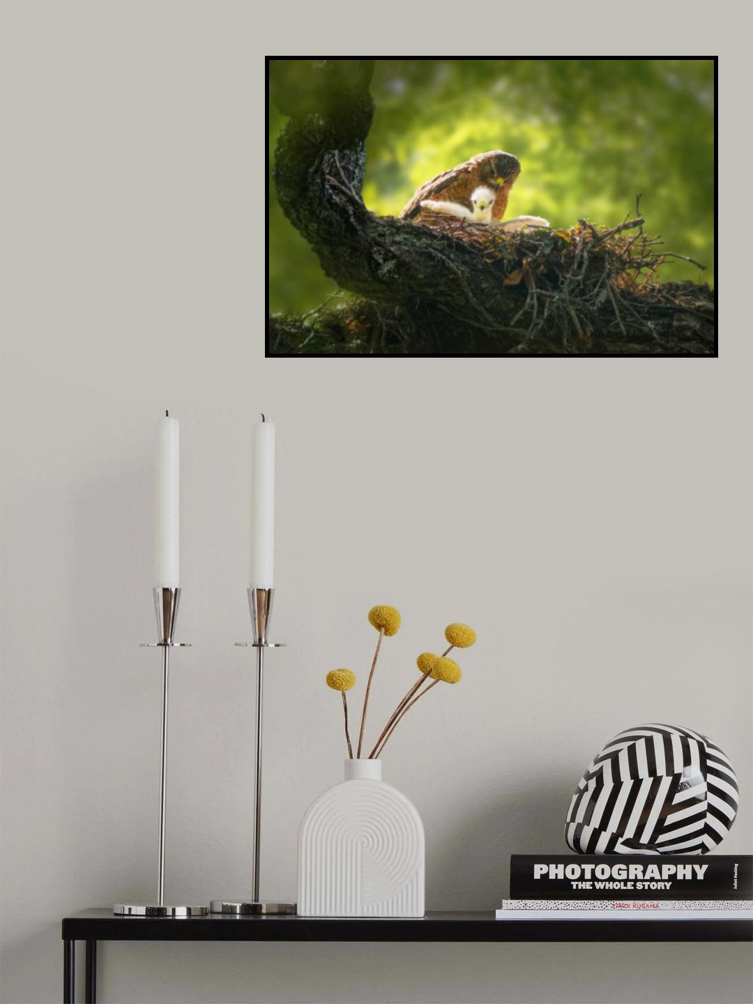 Look Mom, I can fly! Poster och Canvastavla