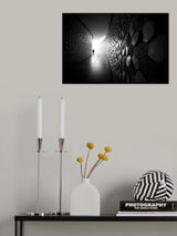 Coming from the light Poster och Canvastavla