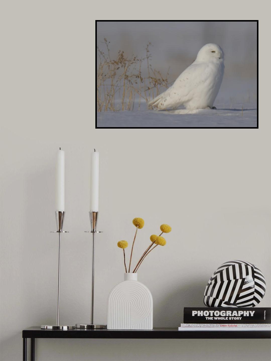 White  Ghost Poster och Canvastavla