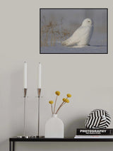White  Ghost Poster och Canvastavla