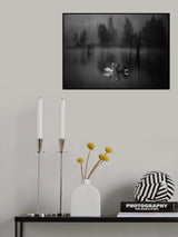 Swan Lake Poster och Canvastavla