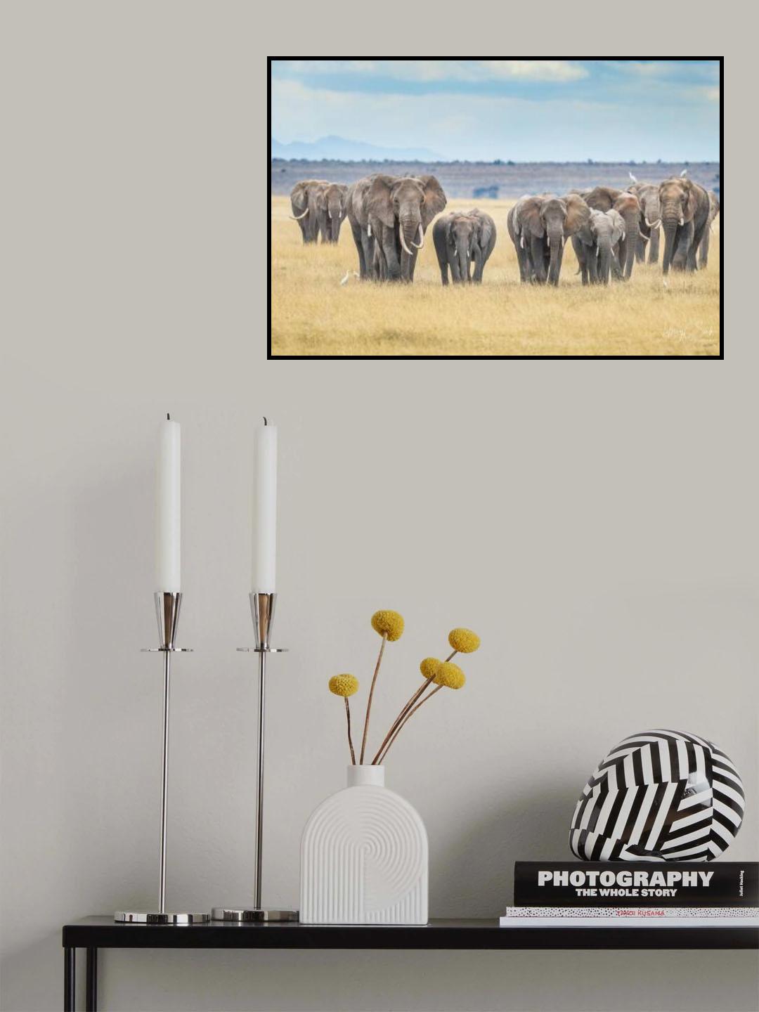 Perseverance Poster och Canvastavla