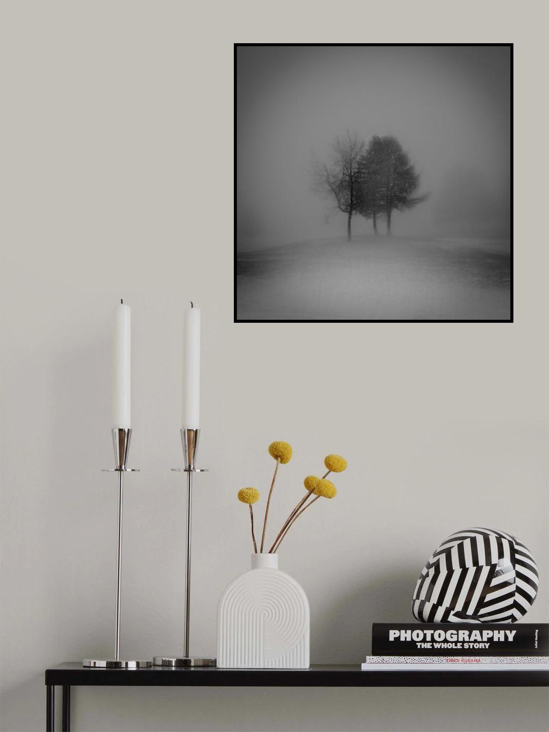 Winter on its way - 4 Poster och Canvastavla