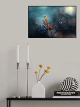 Praying Mantis Poster och Canvastavla