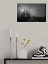 A whole life together Poster och Canvastavla