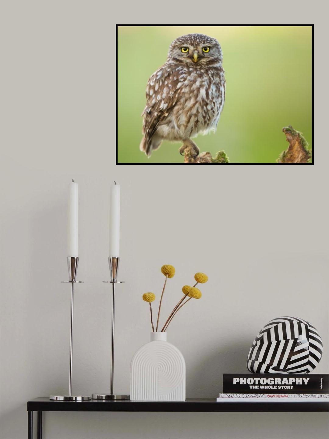 The watcher Poster och Canvastavla