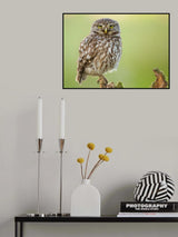 The watcher Poster och Canvastavla