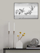 Sandhill Cranes in Morning Poster och Canvastavla