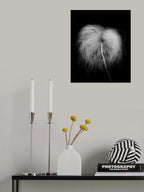 Fluffy seed head Poster och Canvastavla