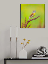 Singing Poster och Canvastavla
