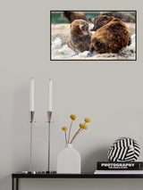 Comparison in the water Poster och Canvastavla