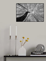 Looking up Poster och Canvastavla