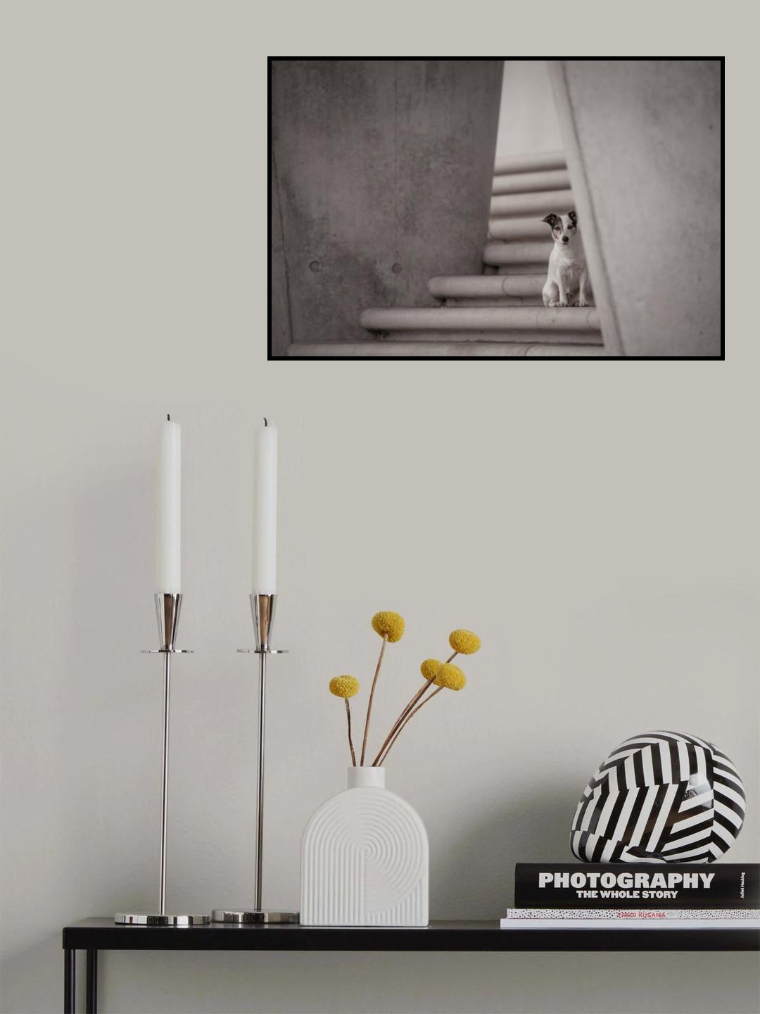 Urbanity Poster och Canvastavla