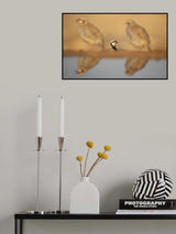 Chukars Poster och Canvastavla