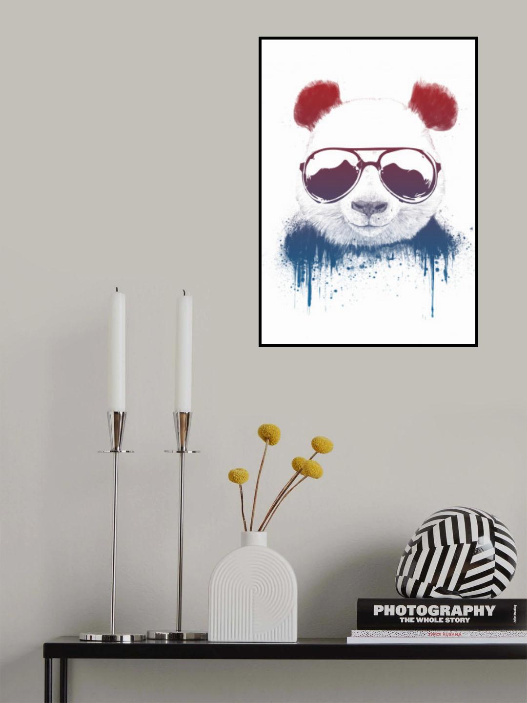 Stay Cool II Poster och Canvastavla