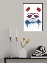 Stay Cool II Poster och Canvastavla