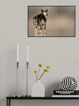 do you like my stripped panties ... ?? Poster och Canvastavla