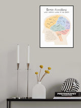 Brainfunctions Poster och Canvastavla