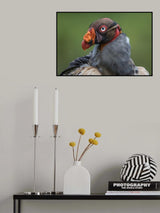 Carrion King Poster och Canvastavla