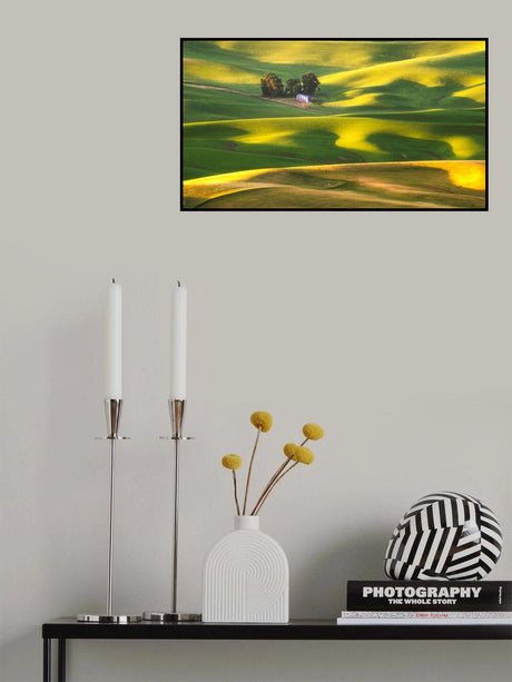 Sunshine Poster och Canvastavla