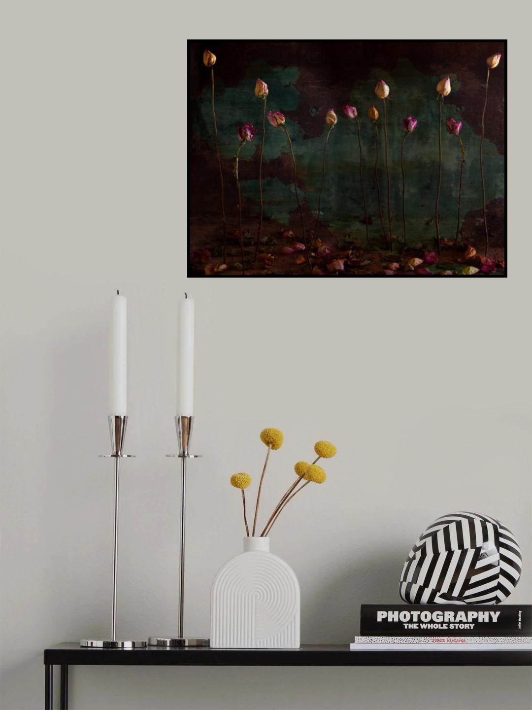 lees of life Poster och Canvastavla