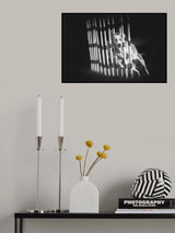 ... in Focus ... Poster och Canvastavla
