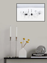 Calligraphic ballet Poster och Canvastavla