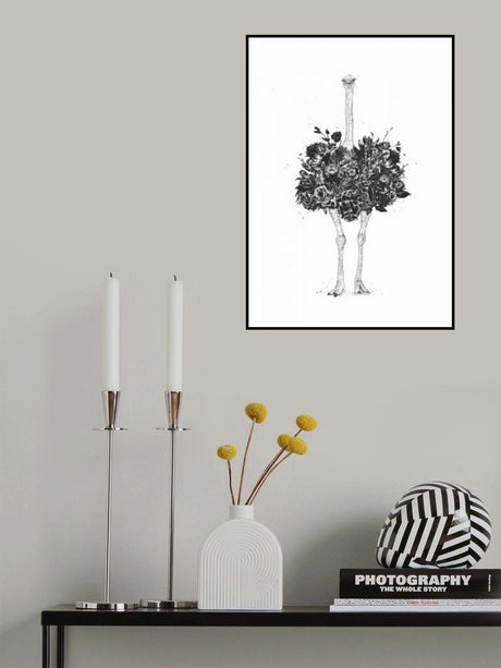 Floral ostrich Poster och Canvastavla