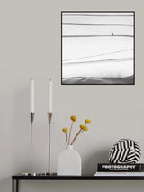 solitary . . Poster och Canvastavla