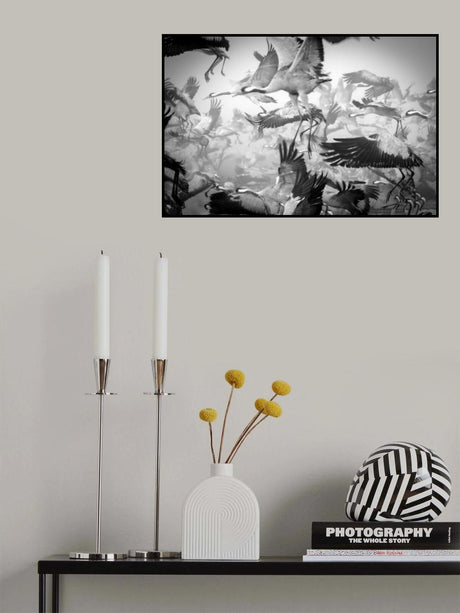 Chaos Poster och Canvastavla