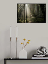 forest bathing Poster och Canvastavla