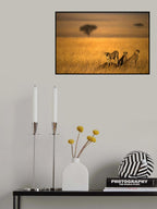 Landsape of Cheetah Poster och Canvastavla