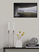 Giant Mushroom Poster och Canvastavla