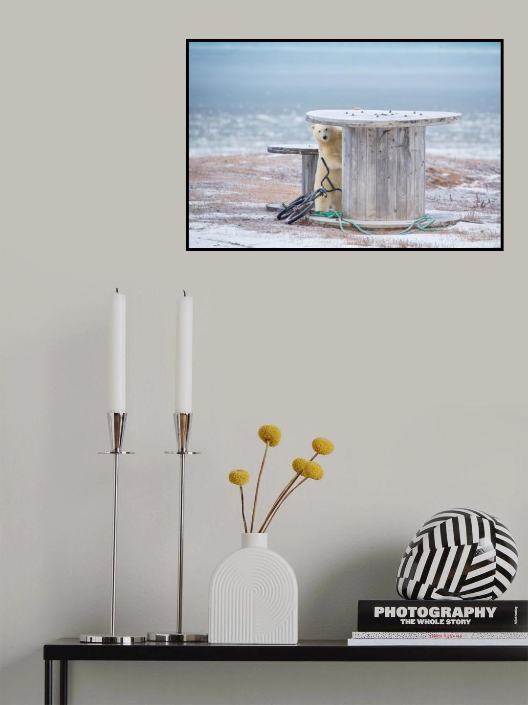 Don't be shy Poster och Canvastavla