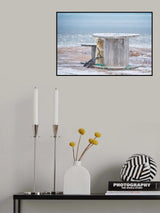 Don't be shy Poster och Canvastavla