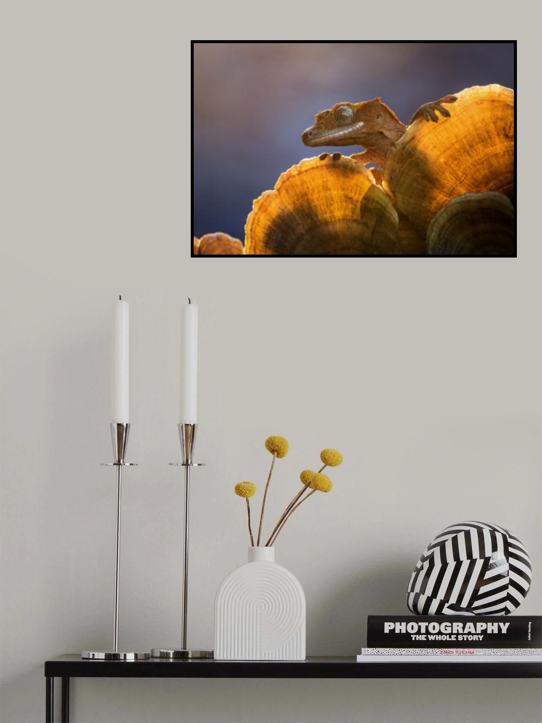 Gecko Poster och Canvastavla