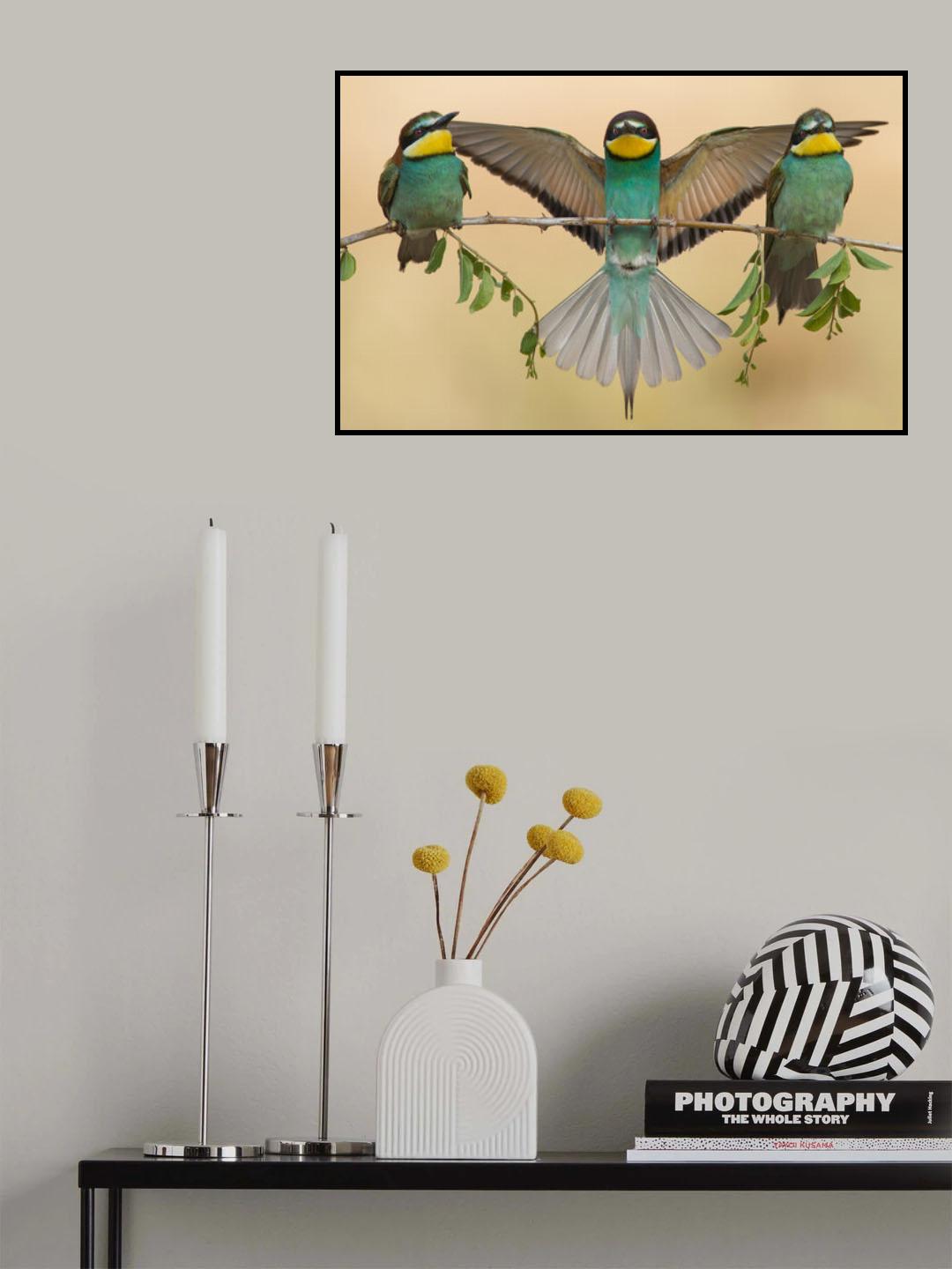 Bee-eaters trio Poster och Canvastavla
