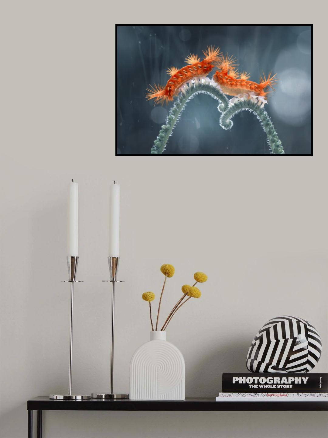 A Pair of Red Caterpillars Poster och Canvastavla