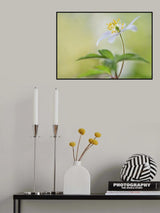 Spring light Poster och Canvastavla