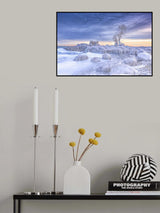 Icy (地老天荒) Poster och Canvastavla