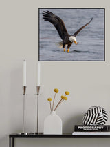 Quick Snack Poster och Canvastavla