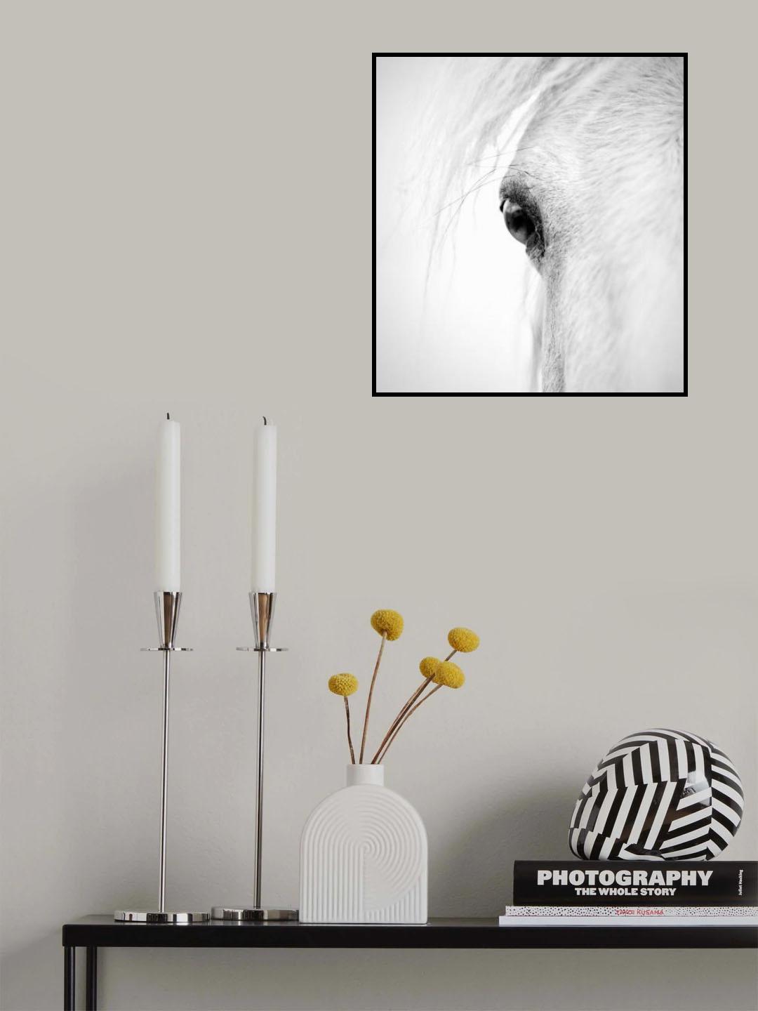 Hose eye Poster och Canvastavla